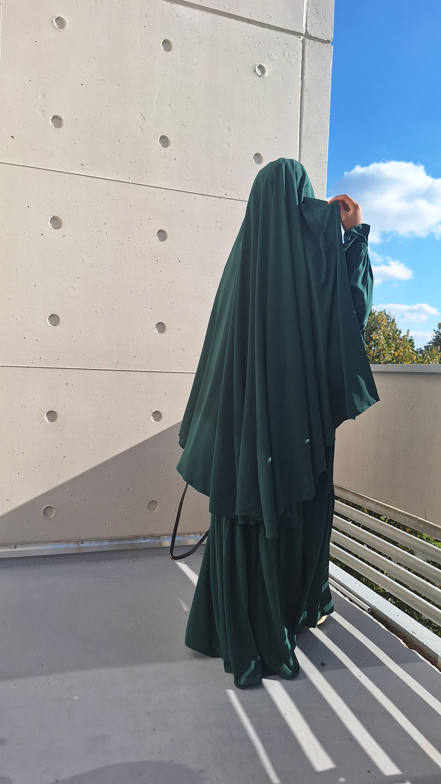 Ensemble asiya