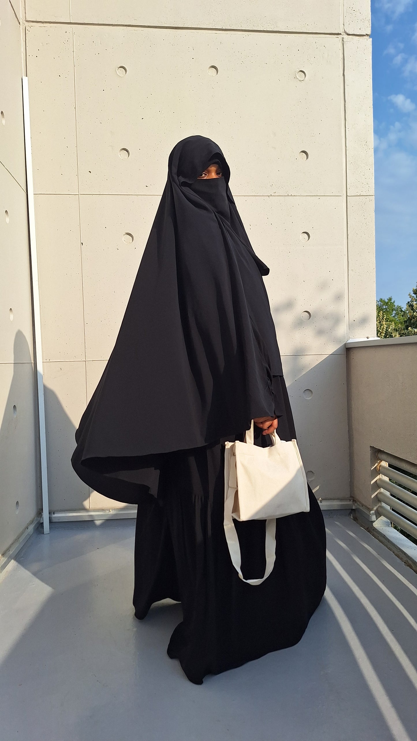 Ensemble asiya