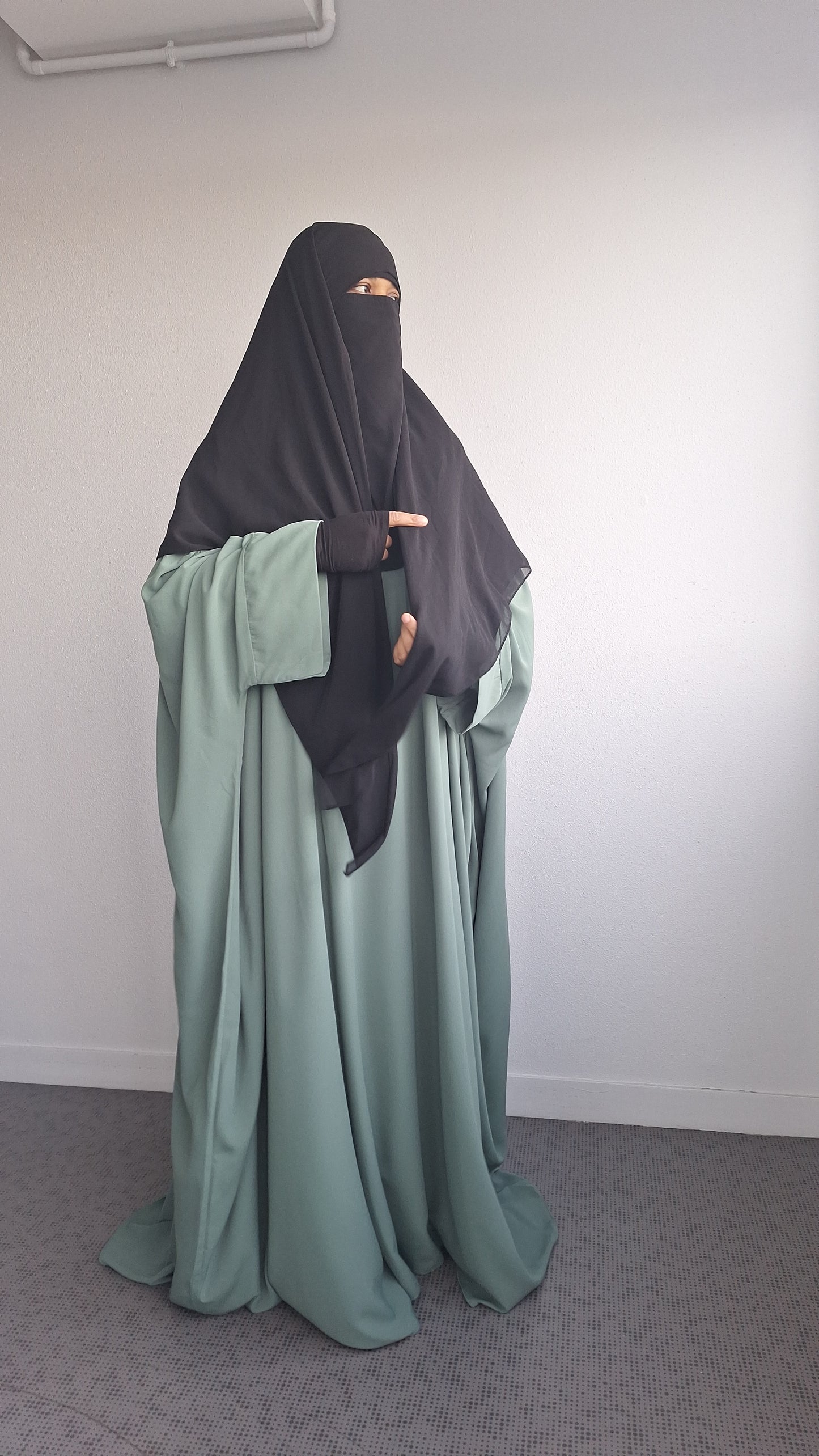 Abaya anliwa