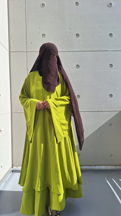 Ensemble saïna