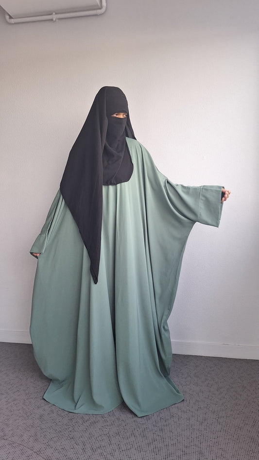 Abaya anliwa